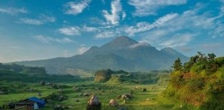 Tempat Ini Jadi Ditutup Gara-Gara Viral di Sosmed Tempat Ini Jadi Ditutup Gara-Gara Viral di Sosmed