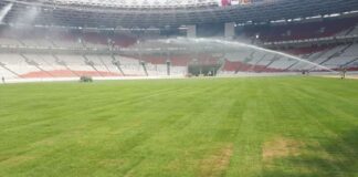 Rumput GBK Aman, Tapi Tidak Bisa Untuk Pertandingan Bola Rumput GBK Aman, Tapi Tidak Bisa Untuk Pertandingan Bola