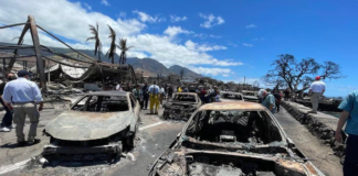 Pulau Maui Tempat Moana Dilanda Kebakaran Hebat Pulau Maui Tempat Moana Dilanda Kebakaran Hebat