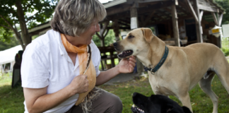 Bisa Ngobrol Sama Hewan Ternyata Bisa Jadi Profesi Bisa Ngobrol Sama Hewan Ternyata Bisa Jadi Profesi