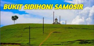 Padang Rumput Dekat Danau Sidihoni Jadi Ladang Jagung Padang Rumput Dekat Danau Sidihoni Jadi Ladang Jagung