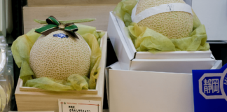 Budaya Jepang: Buah Mahal Simbol Kekayaan Budaya Jepang: Buah Mahal Simbol Kekayaan