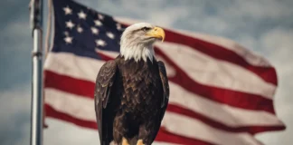 Jelang 2025, Joe Biden Resmikan Elang Botak Jadi Lambang Negara AS Jelang 2025, Joe Biden Resmikan Elang Botak Jadi Lambang Negara AS