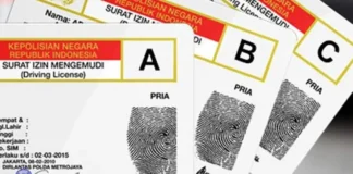 Mulai Bulan Juni, SIM Indonesia Udah Bisa Dipakai di 8 Negara ASEAN Mulai Bulan Juni, SIM Indonesia Udah Bisa Dipakai di 8 Negara ASEAN