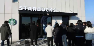 Banyak Pengunjung Mulai Bawa Printer, Starbucks Korea Bikin Aturan Baru Banyak Pengunjung Mulai Bawa Printer, Starbucks Korea Bikin Aturan Baru