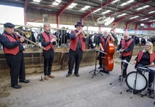 Band Jazz Di Inggris Dipanggil Khusus Untuk Hibur Sapi Band Jazz Di Inggris Dipanggil Khusus Untuk Hibur Sapi