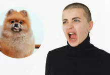 Mulai 2 Januari Kemarin, Panggil Orang Lain “Anjing” Bisa Kena Pasal Mulai 2 Januari Kemarin, Panggil Orang Lain "Anjing" Bisa Kena Pasal